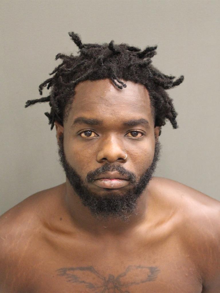  ZIGGY B METHELUS Mugshot / County Arrests / Orange County Arrests