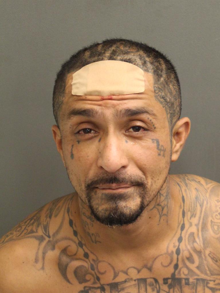  DAVID FLORES Mugshot / County Arrests / Orange County Arrests