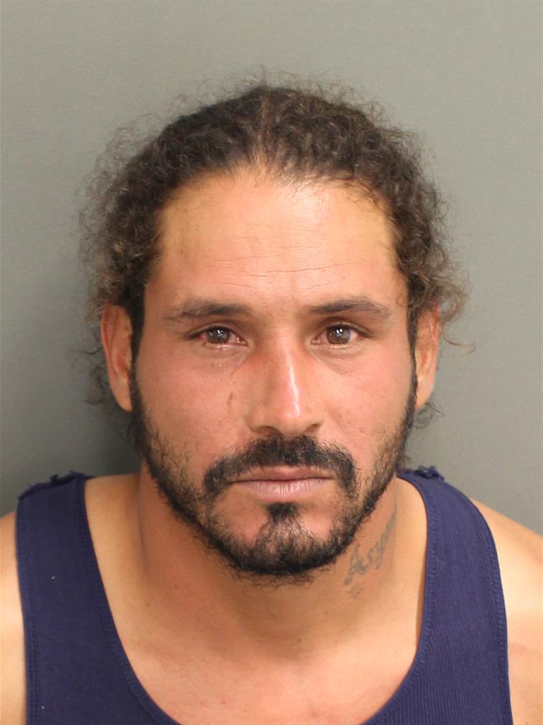  EMMANUEL ORTIZDELIZ Mugshot / County Arrests / Orange County Arrests