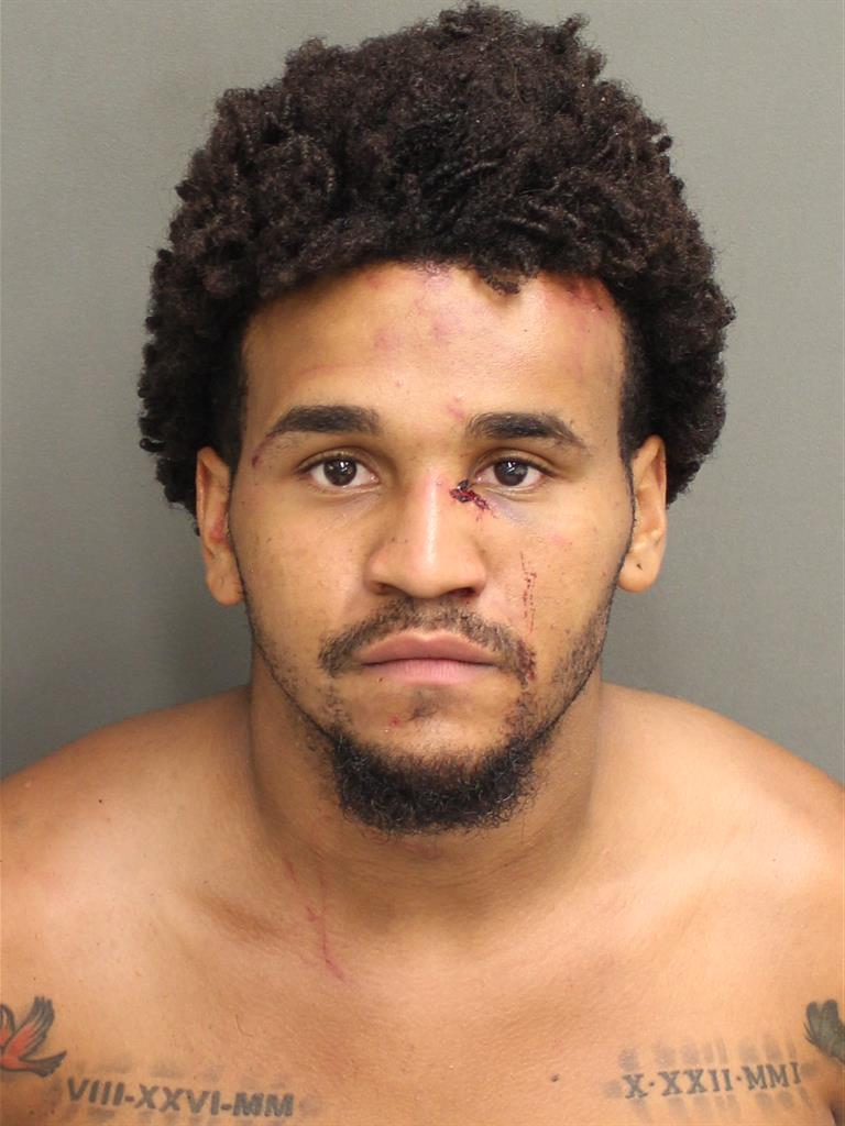  BRUCE JR LEWIS Mugshot / County Arrests / Orange County Arrests