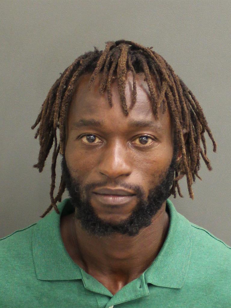  JEAN LOUIS MICHEL Mugshot / County Arrests / Orange County Arrests