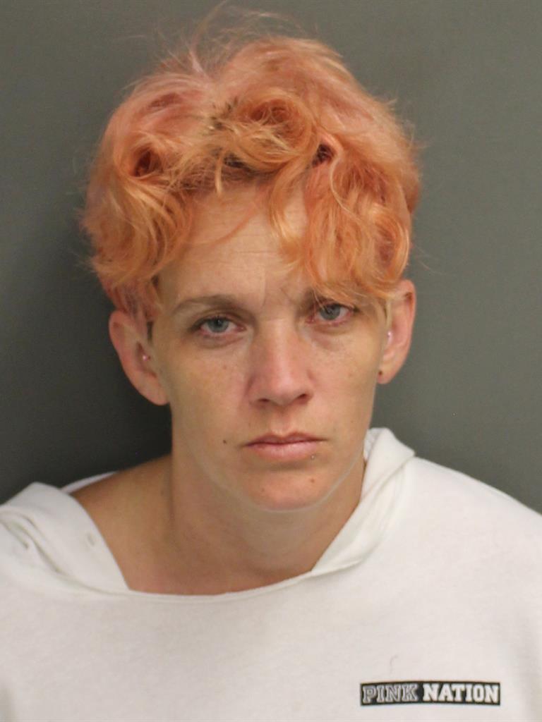  MELISSA ANN HOBDY Mugshot / County Arrests / Orange County Arrests