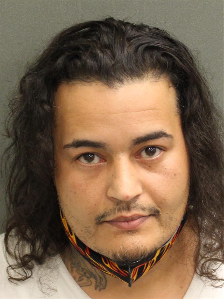  DANIEL EMMANUEL BORGOS Mugshot / County Arrests / Orange County Arrests
