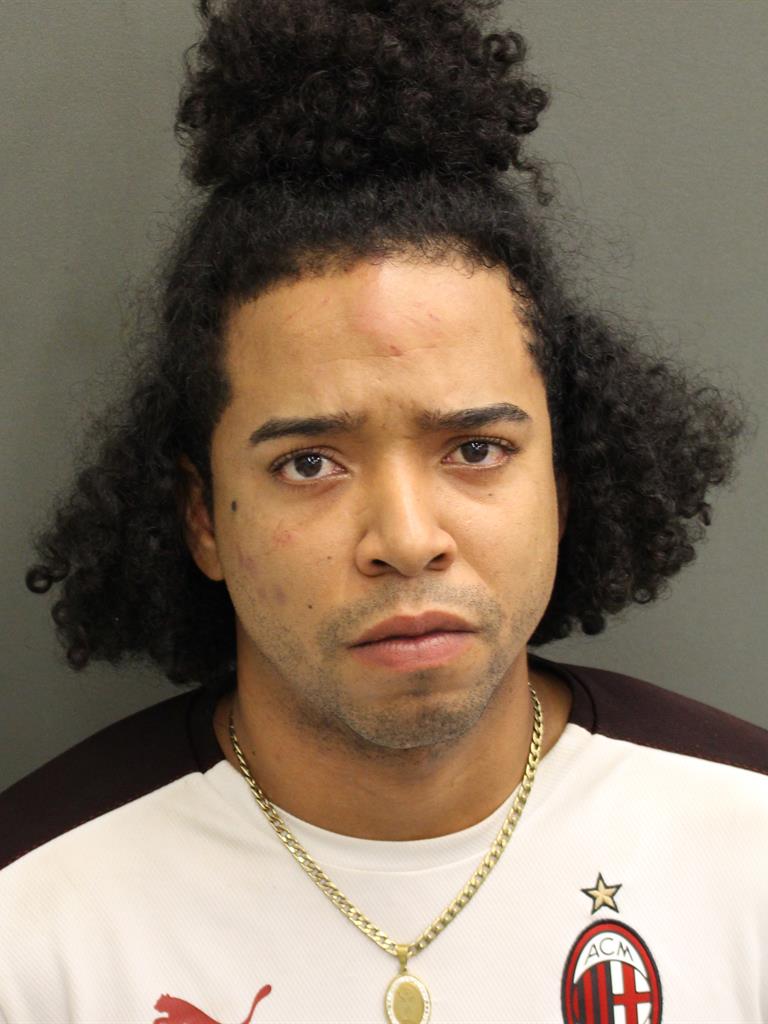  LUIS SALVADOR TEJEIRA Mugshot / County Arrests / Orange County Arrests