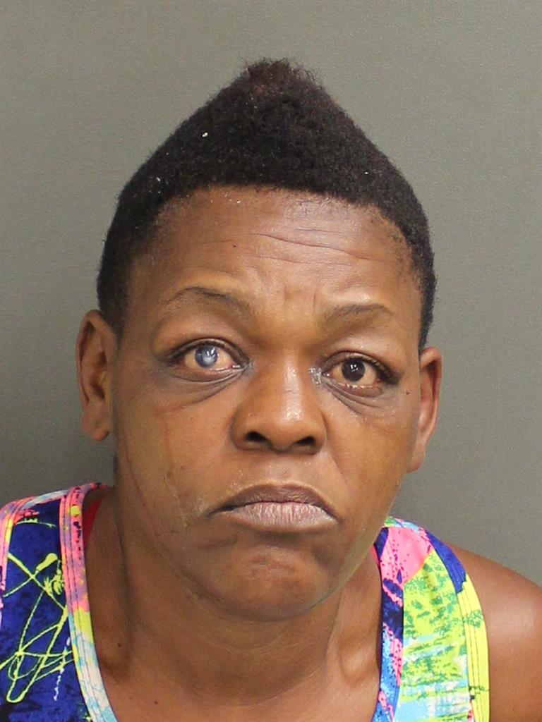  CHERYL DENISE GRAYS Mugshot / County Arrests / Orange County Arrests