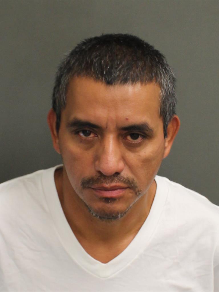  HECTOR PEREZ Mugshot / County Arrests / Orange County Arrests