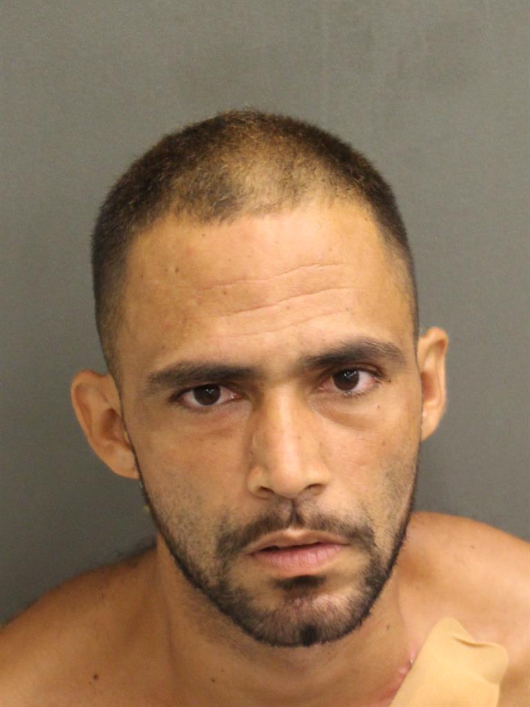 ANGEL CAPELES Mugshot / County Arrests / Orange County Arrests