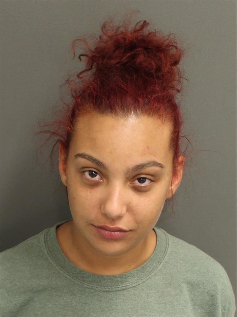  ERIKA KRISTINE BIANCHI Mugshot / County Arrests / Orange County Arrests