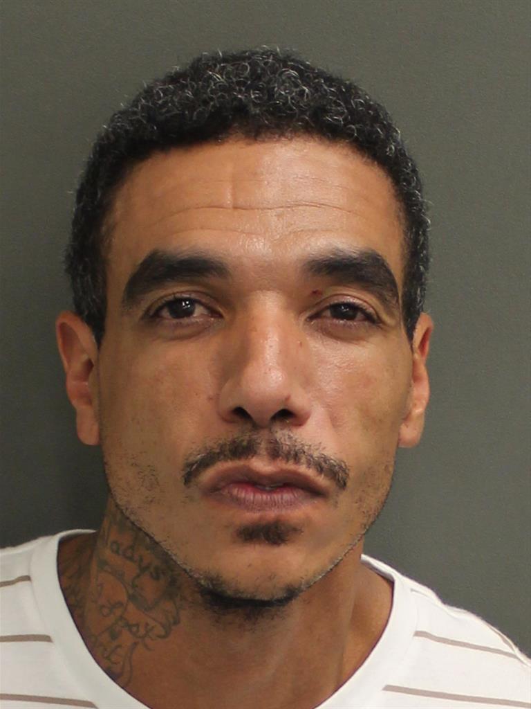  MATTHEW ULYSSES ORR Photo Image