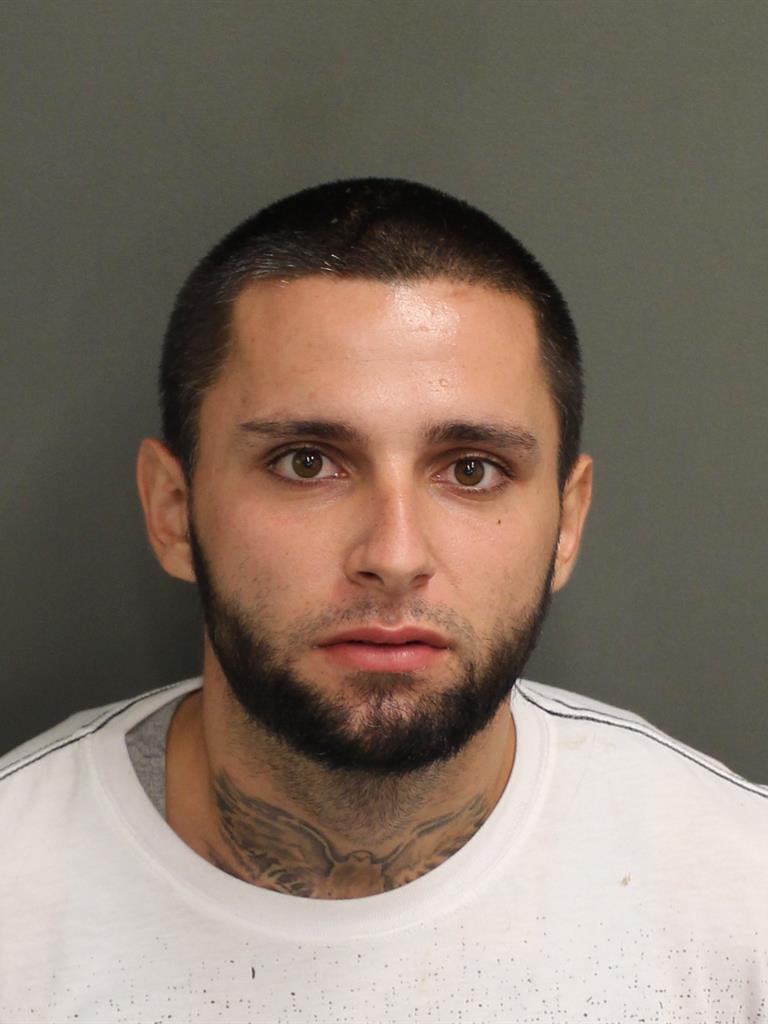  FRANK THOMAS SISINNI Mugshot / County Arrests / Orange County Arrests