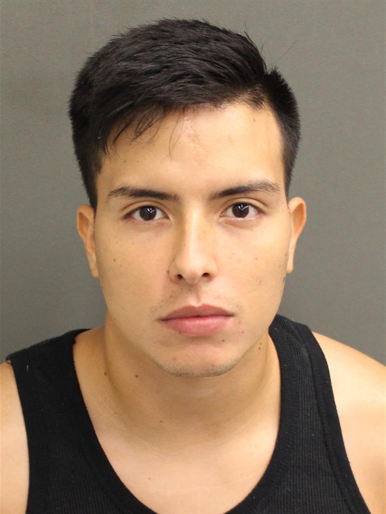  DAVID LOZANONUNEZ Mugshot / County Arrests / Orange County Arrests