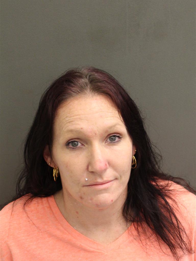  CHRISTIN NICOLE JOHNSON Mugshot / County Arrests / Orange County Arrests