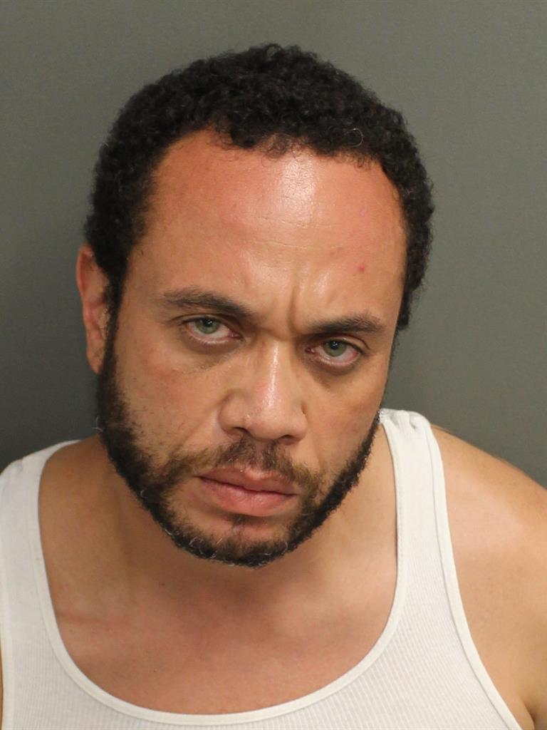  RENE BURGOS Mugshot / County Arrests / Orange County Arrests