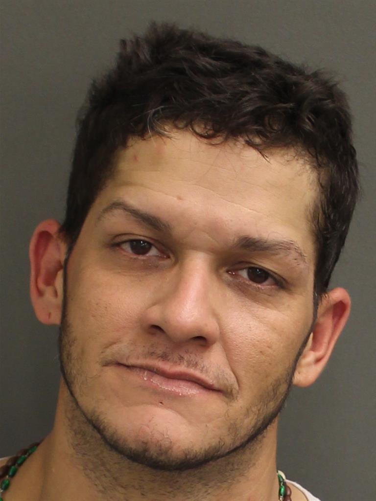  LUIS JOSE BAEZ Mugshot / County Arrests / Orange County Arrests