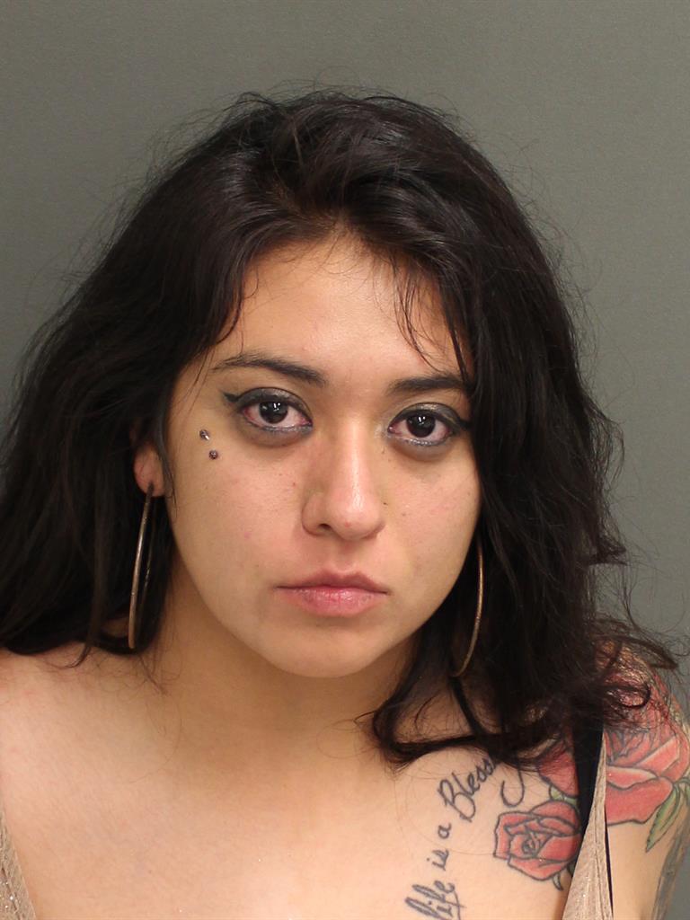  ELISSA MARCELY CASTILLO Mugshot / County Arrests / Orange County Arrests