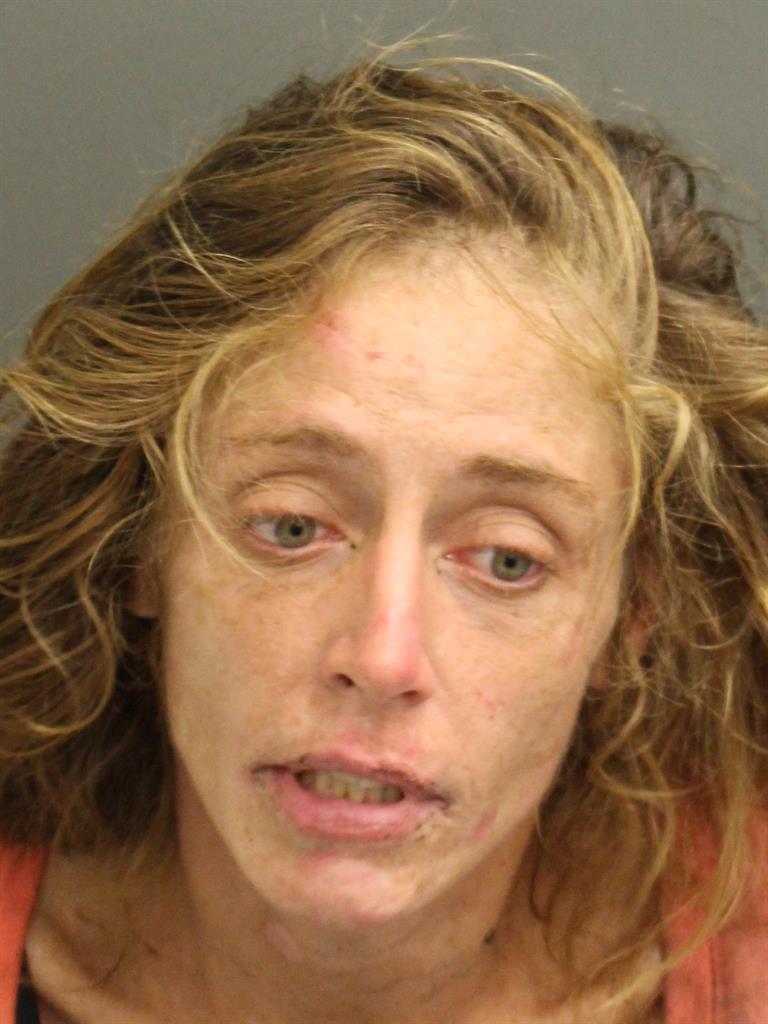  ASHLEY INABNITT Mugshot / County Arrests / Orange County Arrests