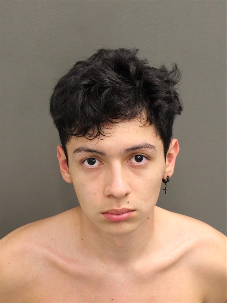  DIEGO ALEJANDRO ROJASBAUTISTA Mugshot / County Arrests / Orange County Arrests