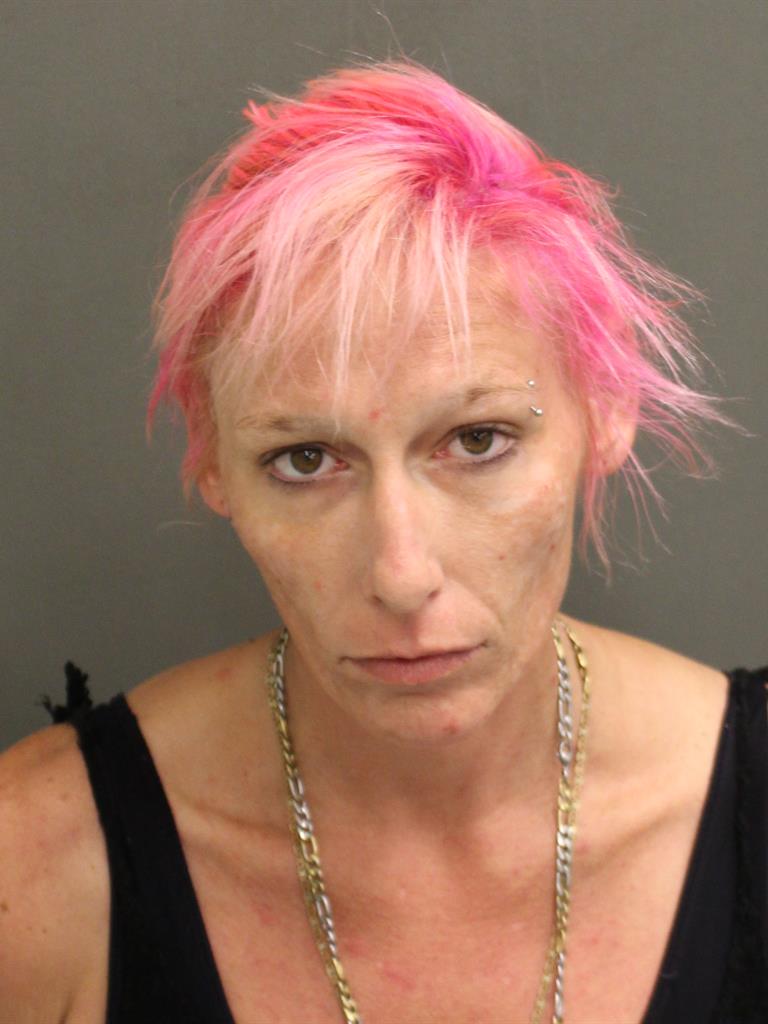  NICOLE LEIGH BLANKENSHIP Mugshot / County Arrests / Orange County Arrests
