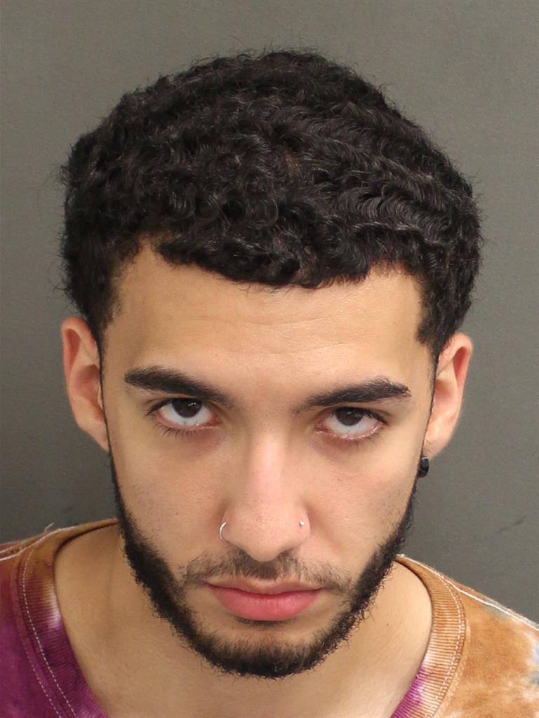  JULIAN ESTEBAN MEDINA Mugshot / County Arrests / Orange County Arrests
