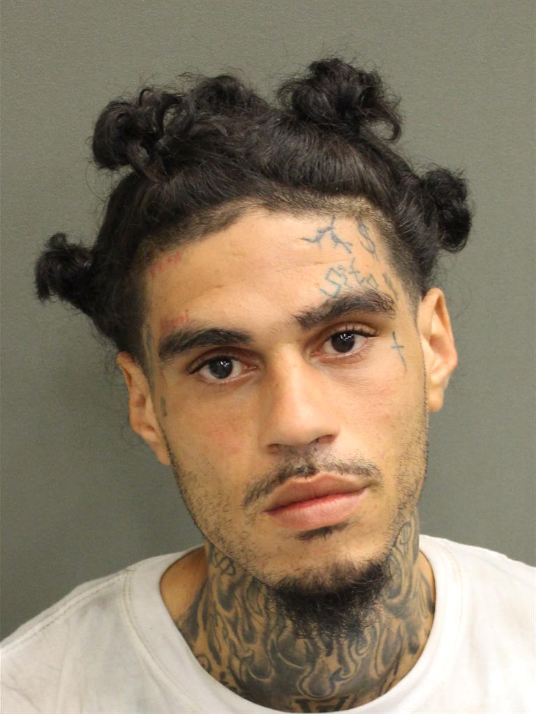  LUIS ANTONIO JR PEREZ Mugshot / County Arrests / Orange County Arrests