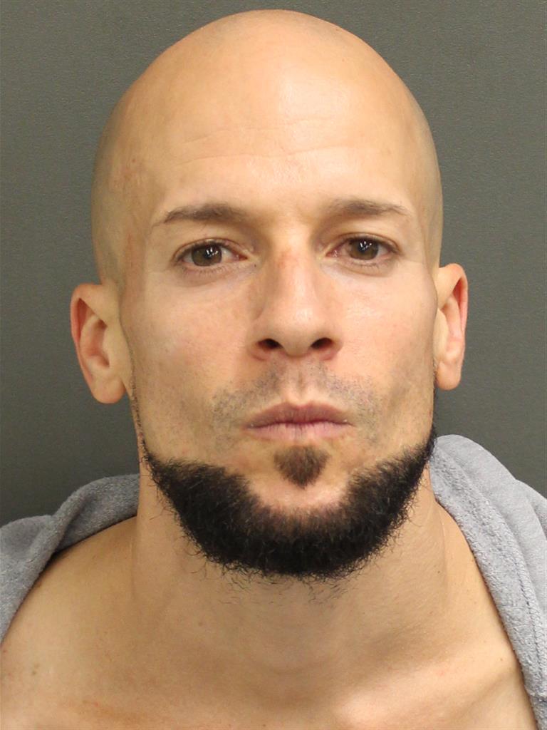  RUDOLPH PAUL VIOLA Mugshot / County Arrests / Orange County Arrests