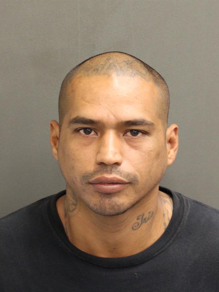  RODOLFO GARIA Mugshot / County Arrests / Orange County Arrests