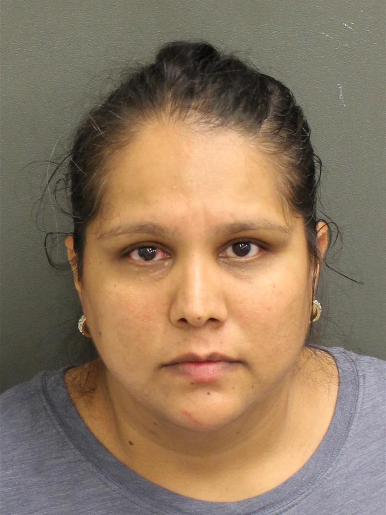  ARACELI CAMARENA Mugshot / County Arrests / Orange County Arrests