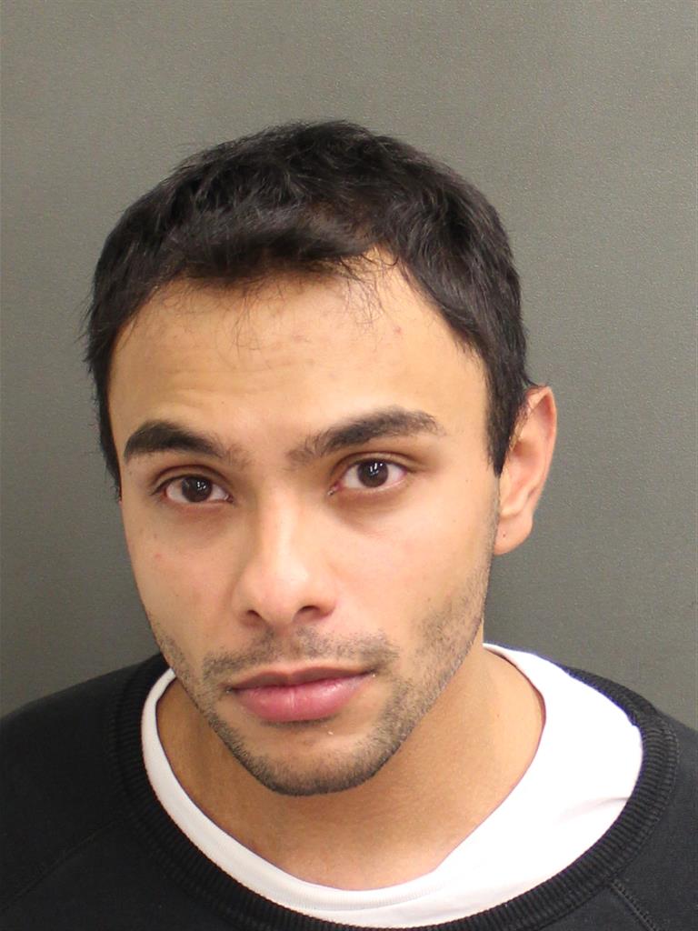  NICHOLAS SONNY MEGALEY Mugshot / County Arrests / Orange County Arrests