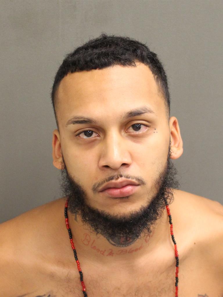  HECTOR  JR LEFEBRE Mugshot / County Arrests / Orange County Arrests