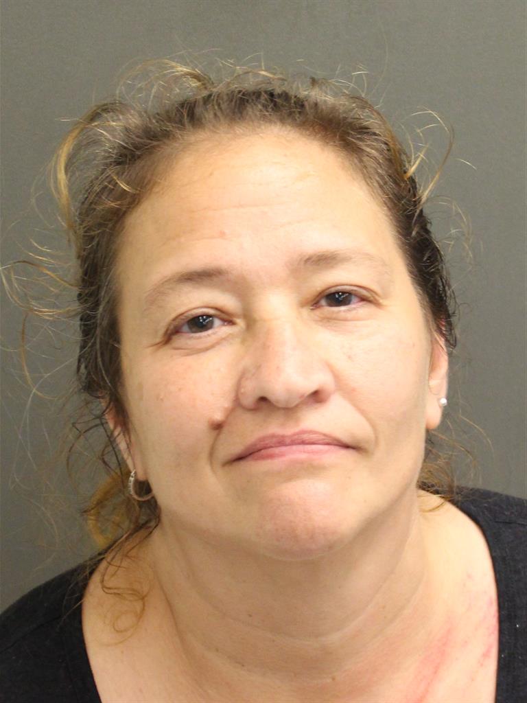  CYNTHIA LORRAINE OLOFSON Mugshot / County Arrests / Orange County Arrests