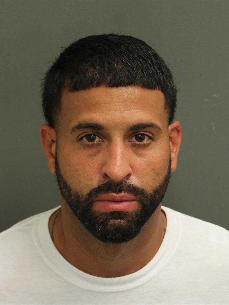  LUIS SANCHEZ Mugshot / County Arrests / Orange County Arrests