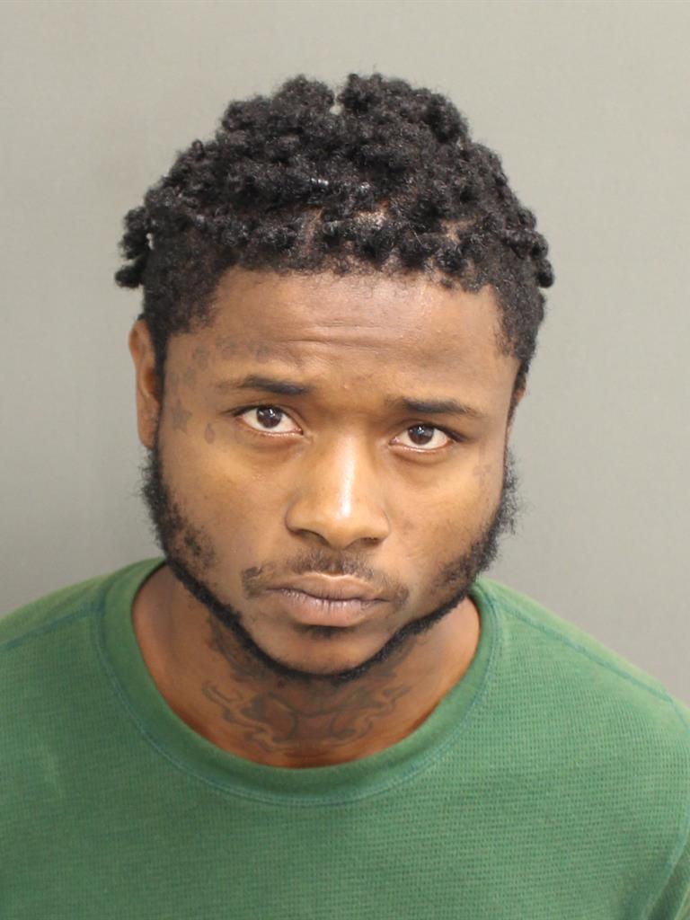  HENRY L JR SHARRON Mugshot / County Arrests / Orange County Arrests
