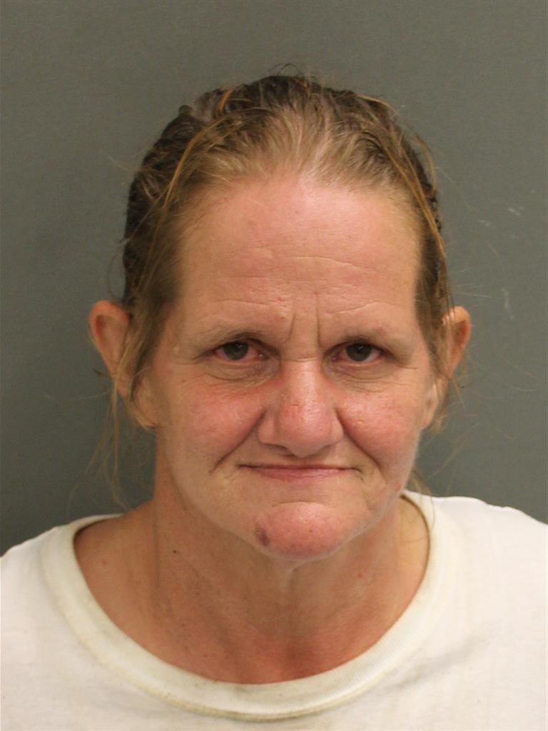  PAULA HARDING Mugshot / County Arrests / Orange County Arrests