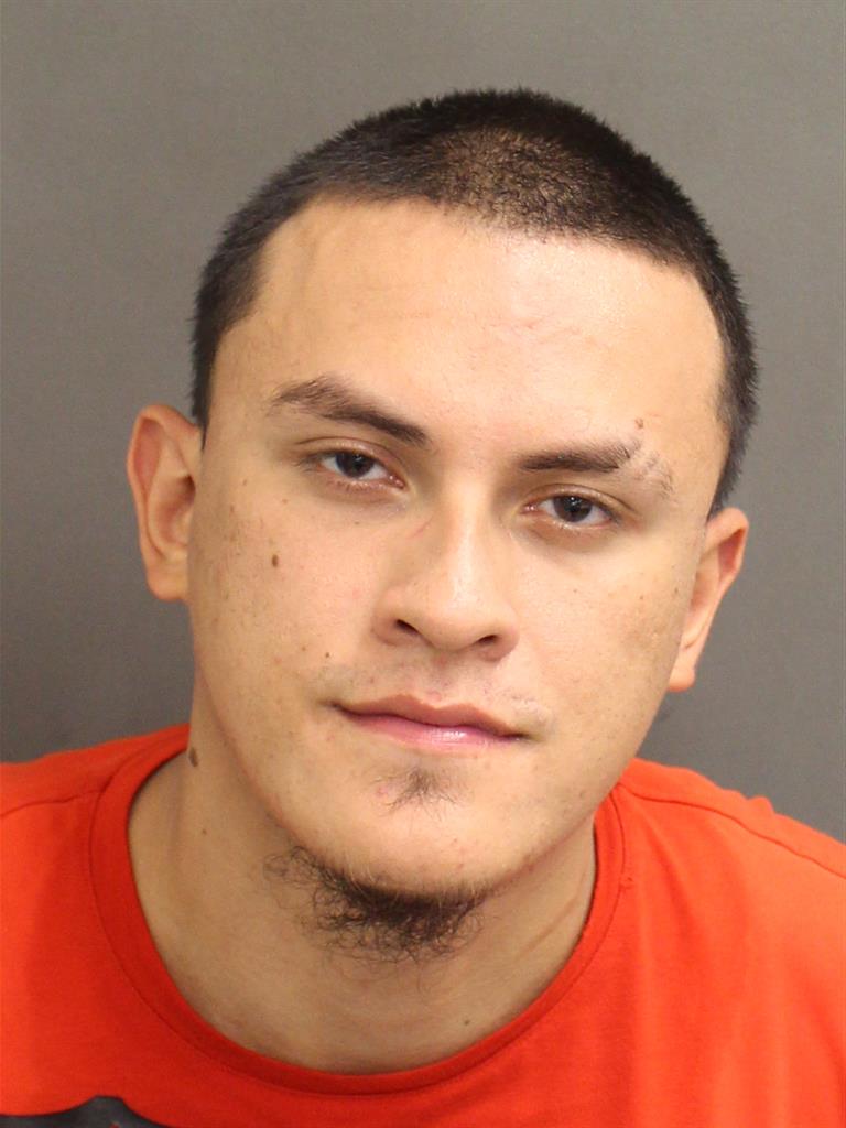  LUIS FERNANDO IBANEZ Mugshot / County Arrests / Orange County Arrests