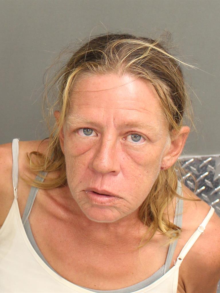  DIANE GRIMES Mugshot / County Arrests / Orange County Arrests