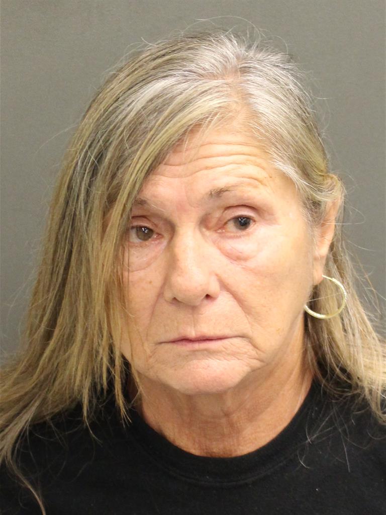  VESNA MINAJLOIC GREENBERG Mugshot / County Arrests / Orange County Arrests