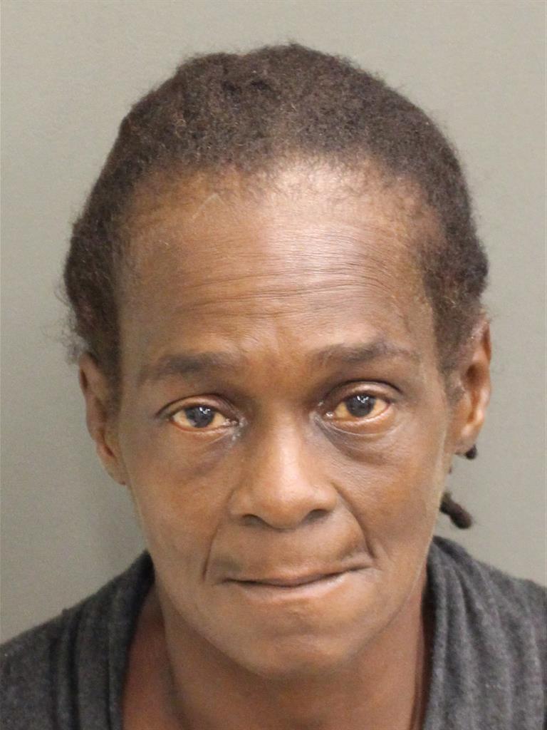  JACQUELINE ELAINE JOHNSONSULE Mugshot / County Arrests / Orange County Arrests