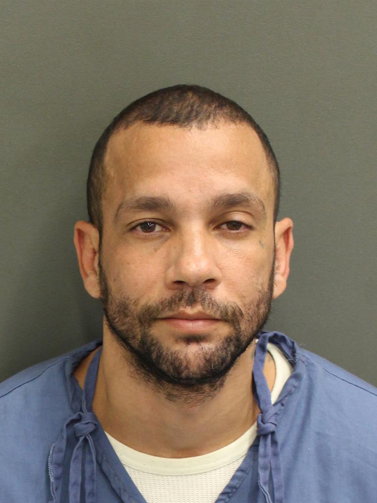  JOSE MANUEL ROLDOSSEPULVEDA Mugshot / County Arrests / Orange County Arrests