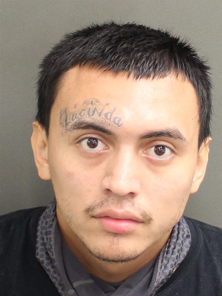  LOEIS ENRIQUE VASQUEZ Photo Image