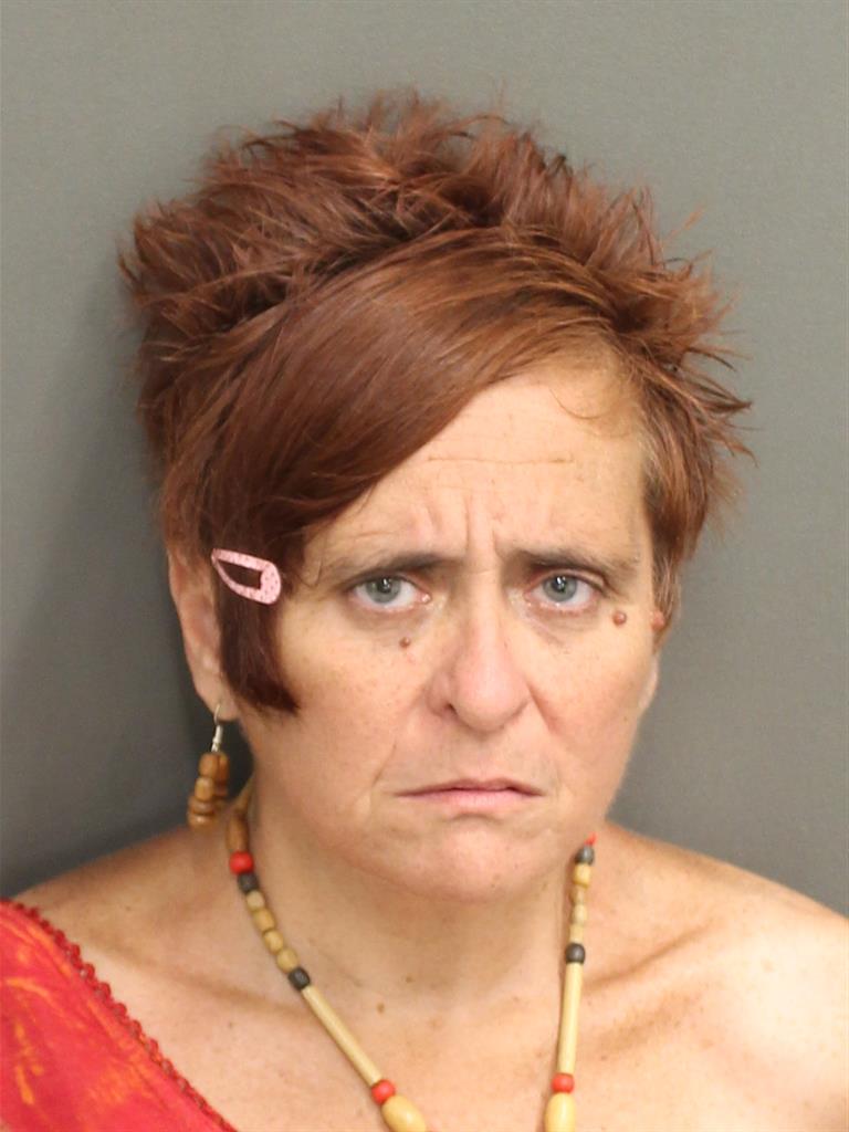  SANDRA ANN HILLWASHINGTON Mugshot / County Arrests / Orange County Arrests