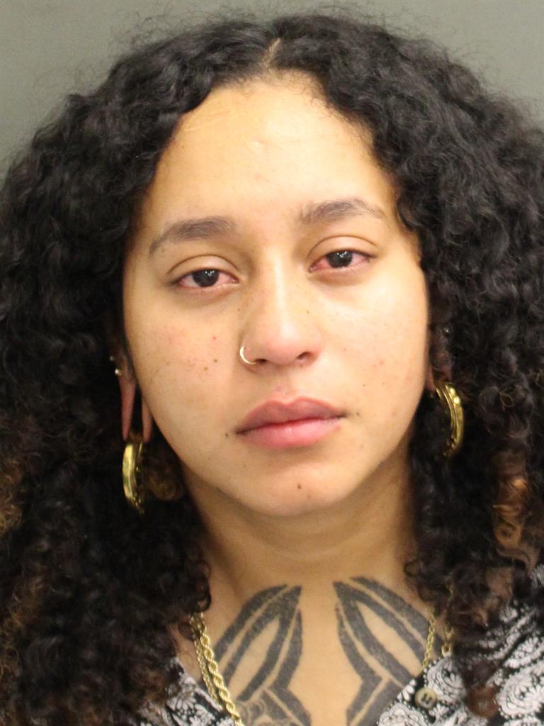  ANGEL HURTADO INGRIDLORENA Mugshot / County Arrests / Orange County Arrests