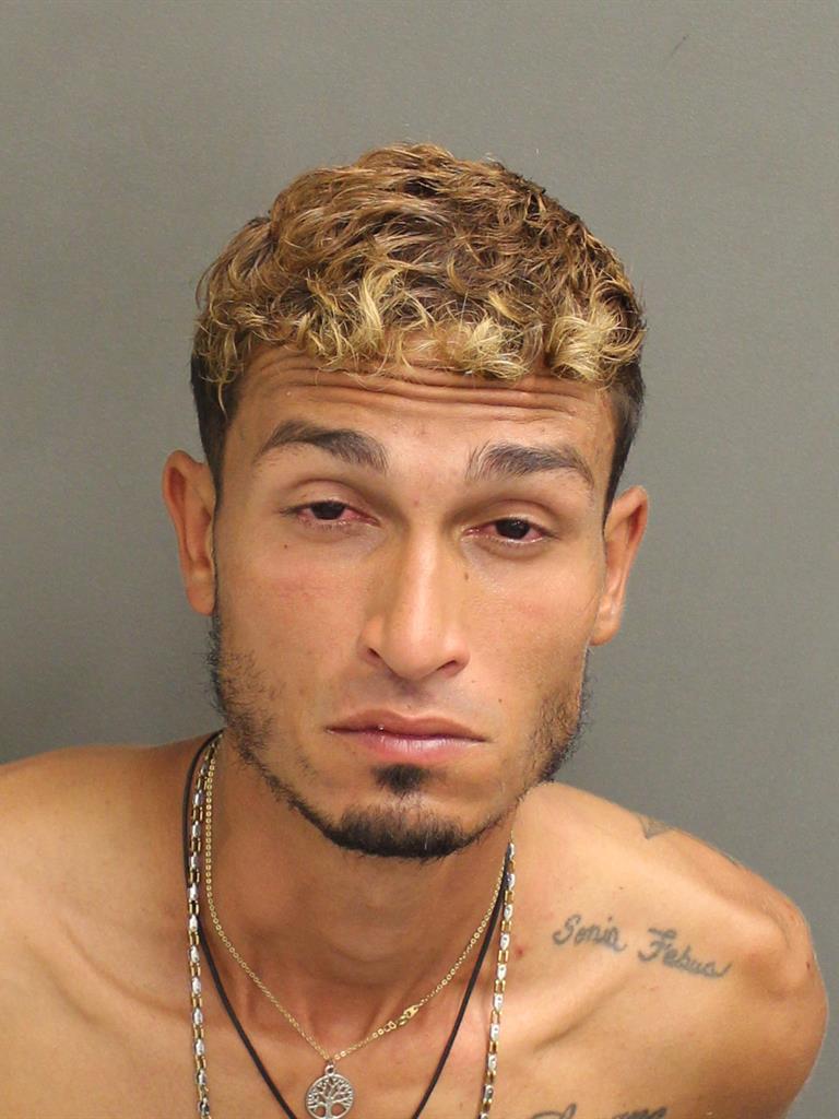  JULIO HIRAM CASTROFEBUS Mugshot / County Arrests / Orange County Arrests