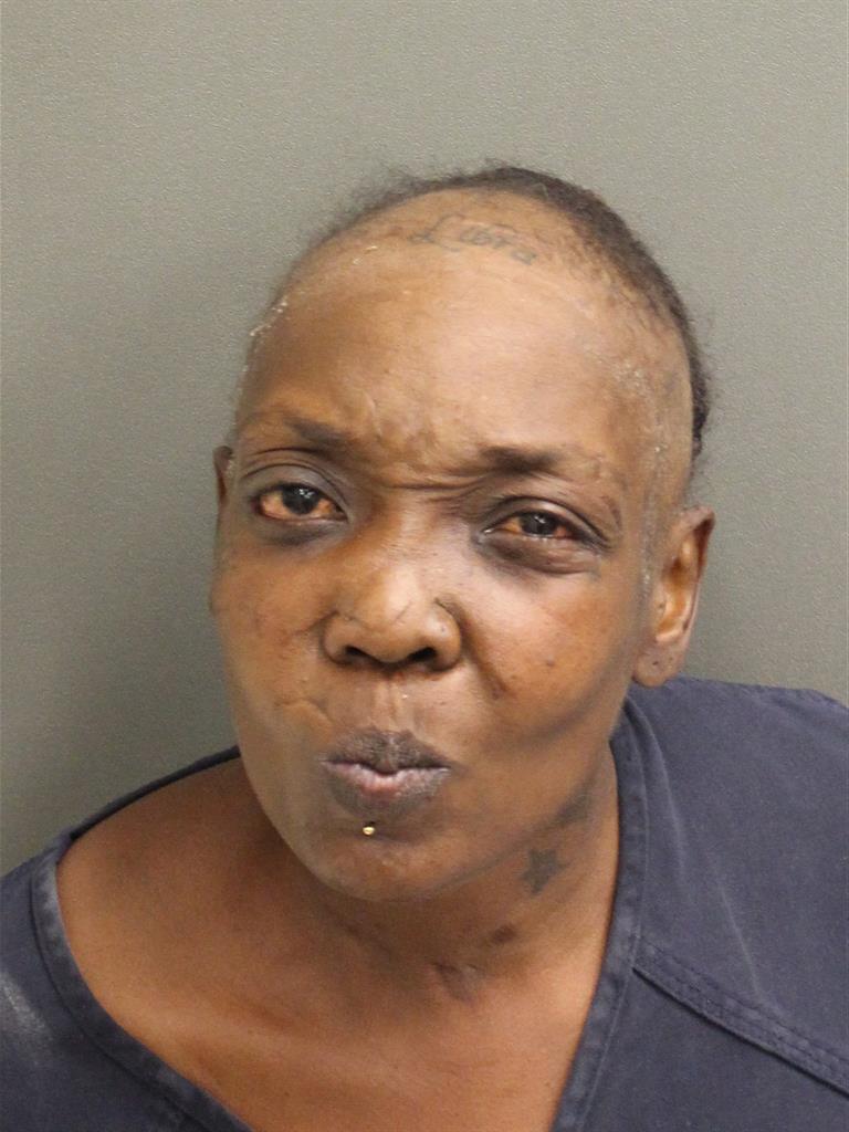  TERESA RENA WILSON Mugshot / County Arrests / Orange County Arrests