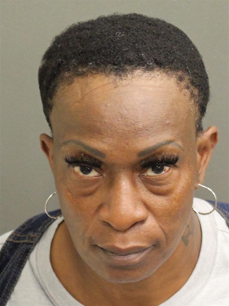  VANESSA TOLBERT Mugshot / County Arrests / Orange County Arrests