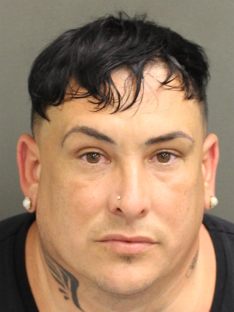  ANGEL MICHEL PITALORENZO Mugshot / County Arrests / Orange County Arrests