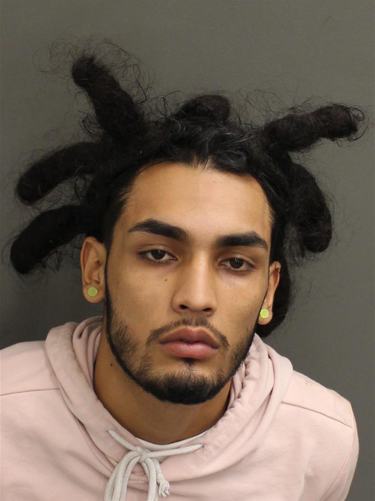  VINCHENZO CHESARAY ADDERLINI Mugshot / County Arrests / Orange County Arrests