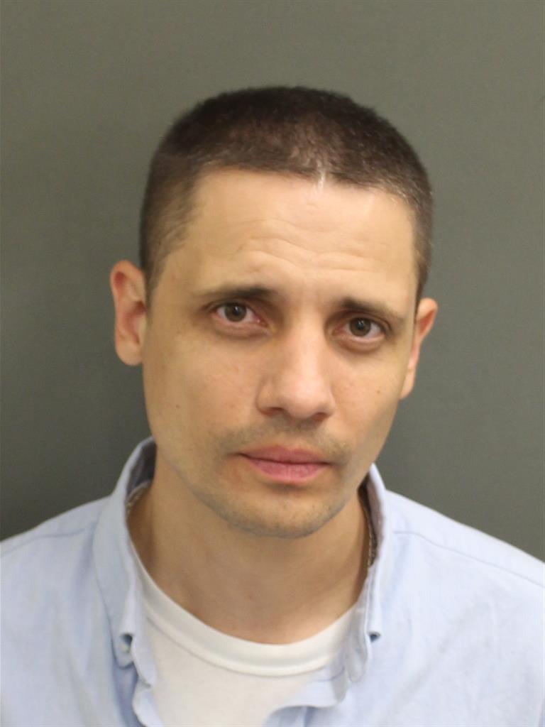  ALEKSEJS ULAHINS Mugshot / County Arrests / Orange County Arrests
