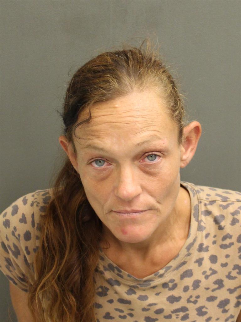 JESSICA ELIZABETH SHEFER Mugshot / County Arrests / Orange County Arrests