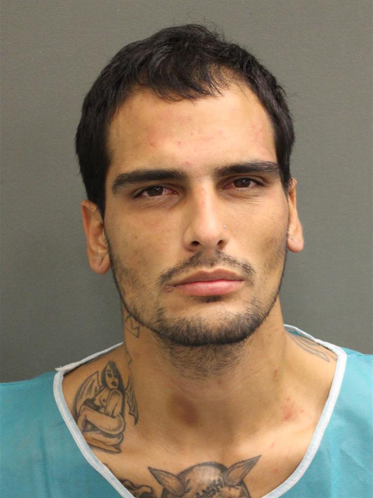  TYLER ROBERT LINCOLN Mugshot / County Arrests / Orange County Arrests