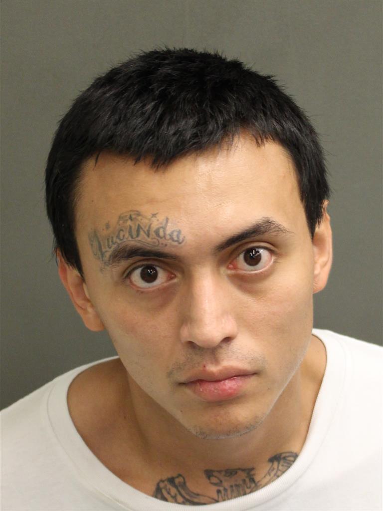  LOEIS ENRIQUE VASQUEZ Mugshot / County Arrests / Orange County Arrests